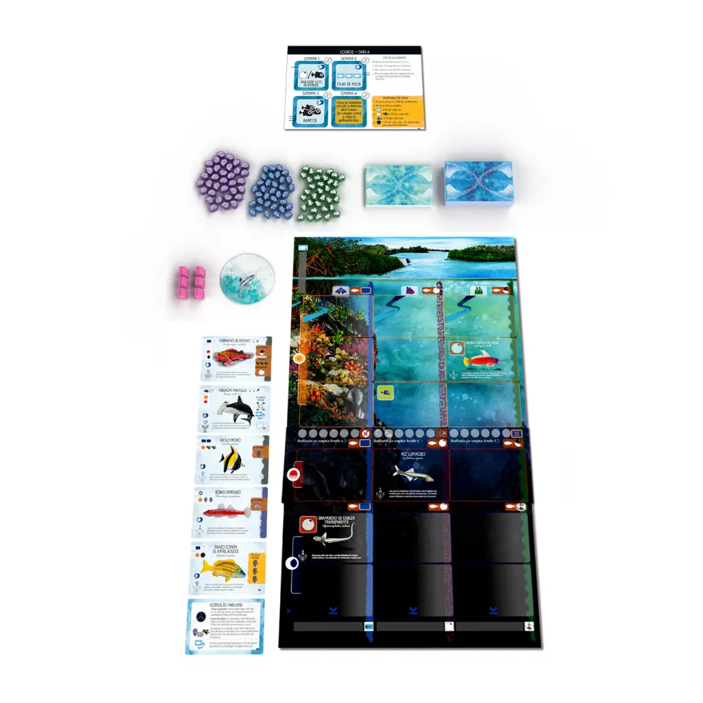8436625618245-1200-components1.webp