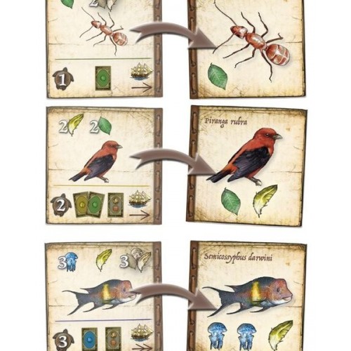 Prestashop Image 3744