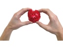 Prestashop Image 4924