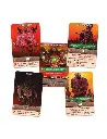 ace-of-spades-call-of-the-zombie (1).webp
