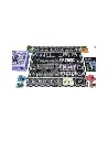 eternal-decks.webp