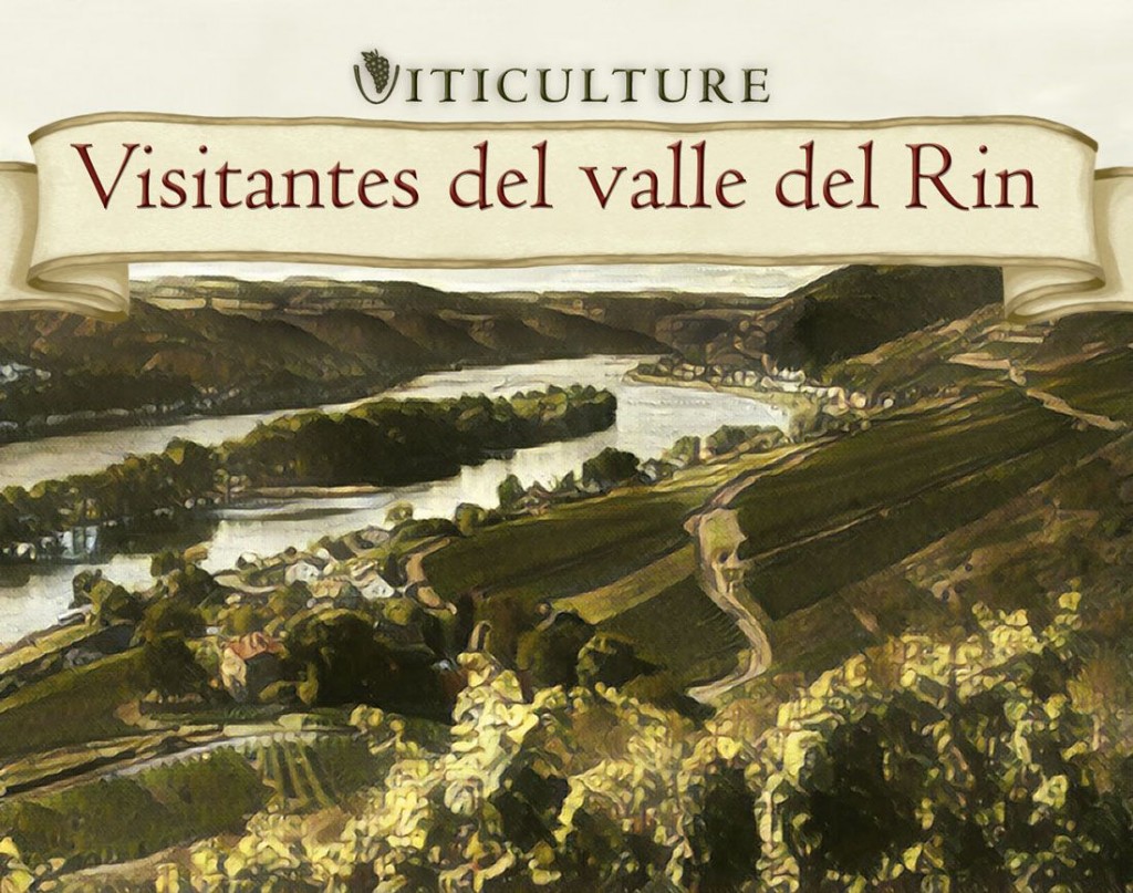 VITICULTURE: VISITANTES DEL VALLE DEL RIN